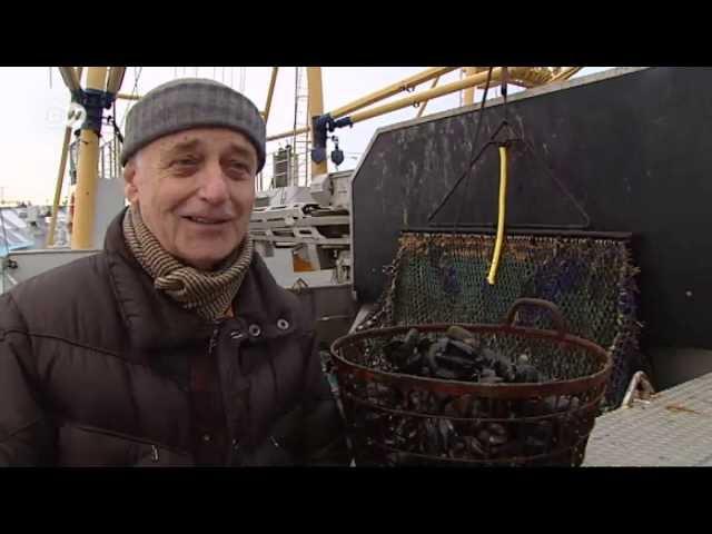 The North Sea Island of Sylt in Winter | Euromaxx