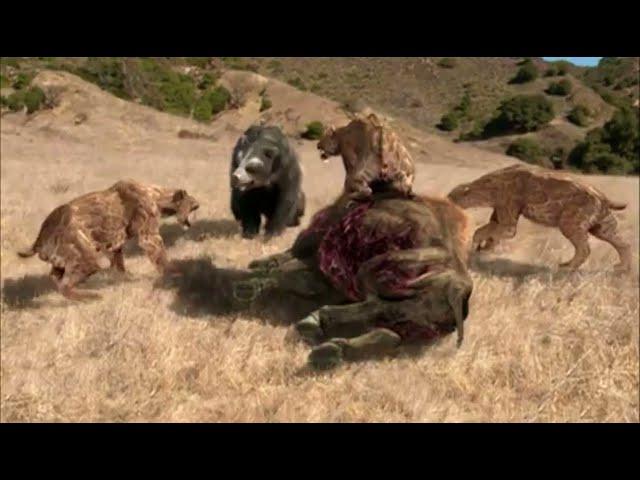 Short-Faced Bear vs Sabertooth (Smilodon) | Prehistoric Predators Episode 3