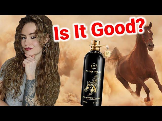 Montale Arabians Tonka Fragrance Review  Montale Fragrances  Gourmand Fragrance