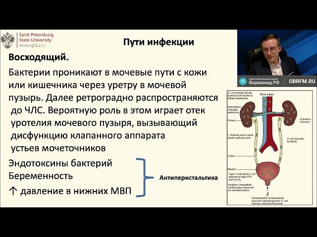 Осложненные инфекции мочевыводящих путей (врач-уролог, к.м.н. Горгоцкий И.А.)