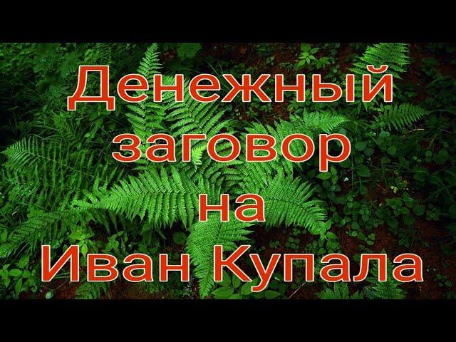 Денежный заговор на Иван Купала.