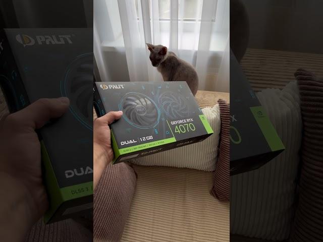 Видеокарта PALIT RTX 4070 с МегаМаркета за 65000 рублей #игровойкомпьютер #пк #сборкапк #видеокарта