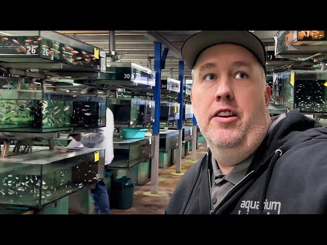 Thousands of Rare Aquarium Fish at MASSIVE Wholesaler | Aquarium Glaser Tour