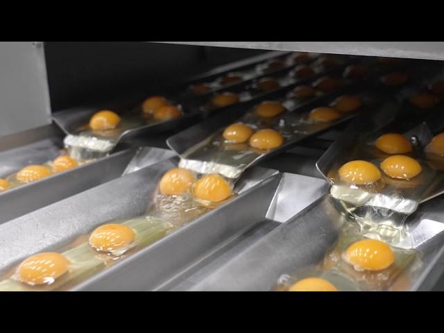 Mass Production of Liquid Eggs: Inside a Japanese Factory Using 1.3 Billion Eggs Annually!