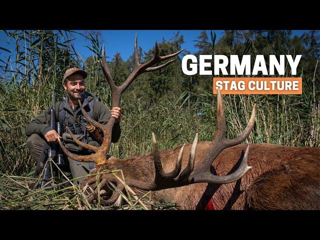 Unbelievable Free Range Stag while hunting deer in Germany!  STAG CULTURE