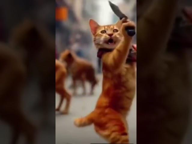 قطه ترقص على اغنيه اصحابي اخصامي قطط بالذكاء الاصطناعي