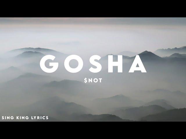 $NOT - GOSHA (Lyrics)