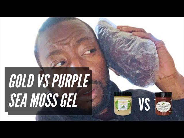 Gold VS Purple Sea Moss Gel...Who Wins???(2021)