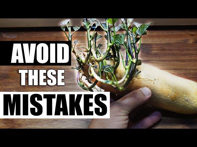 3 Common Gardening Mistakes - Garden Quickie Episode 41