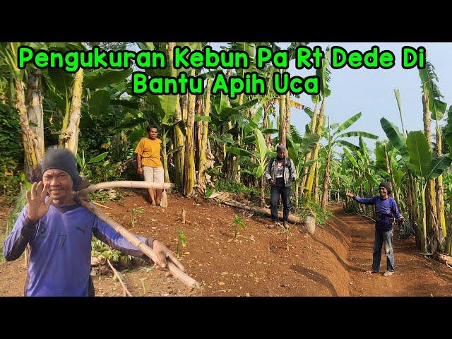 Bismillah Mulai Pengukuran Kebun Pa Rt Dede Ternyata Pemandangan Nya Cantik Sekali Top Markotop