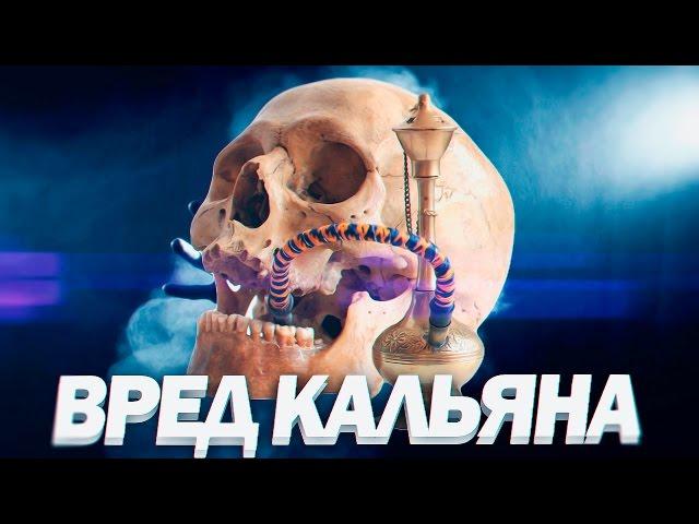 ВРЕД КАЛЬЯНА | Кальян и Сигареты Вред От Курения