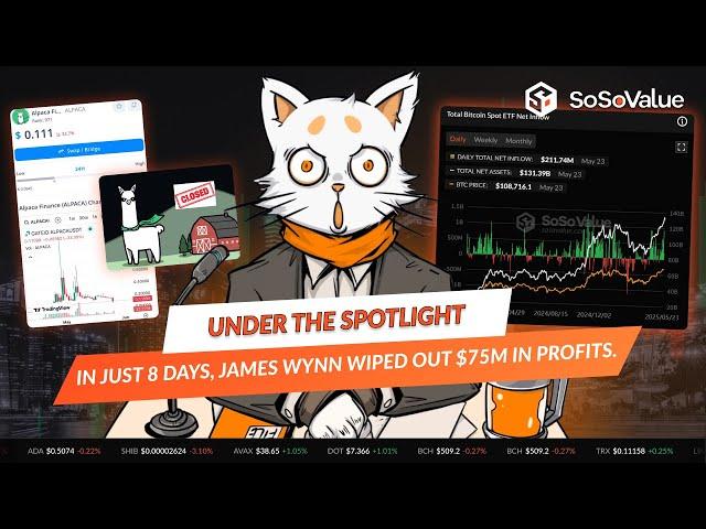 Massive trade gone wrong: James Wynn loses all his profits in one week - SoSoValue News