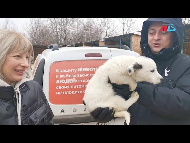 Андрей Гимбатов передал корм для животных в волгоградский приют «Лисена»