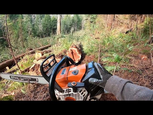 Stihl MS 500 i review....(  After 6 months of commercial use )