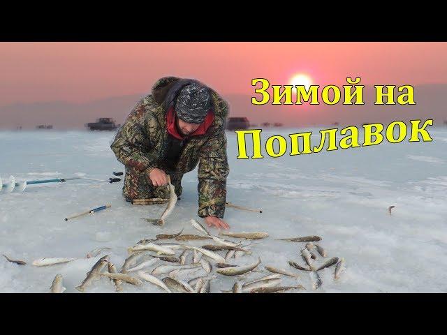 Рыбалка на Самоделки (Комбайны). Ловля Наваги в Тавричанке.