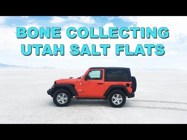 Bone Collecting in the Utah Salt Flats