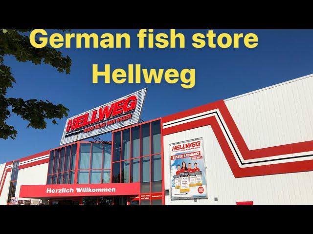 A Visit To Hellweg In Germany