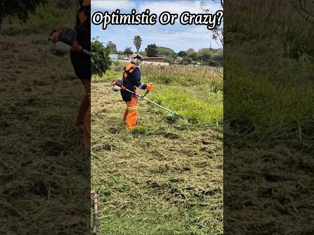 Cleaning 10 acres of land woman alone of 60 #southafrica #youtubeshorts #animals #motivation