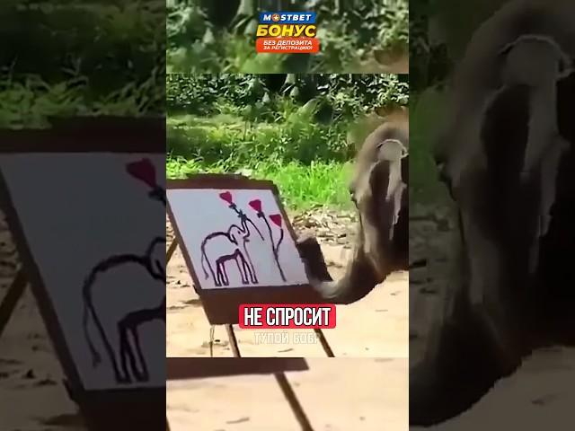 СЛОН ПИШЕТ ДОРОГИЕ КАРТИНЫ!