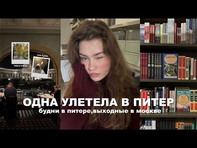 одна улетела в питер | мои будни