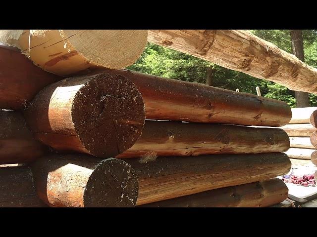 Log cabin saddle notches how to scribe correctly and cheaply