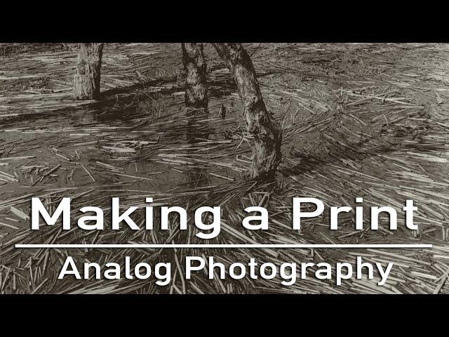 Making a Print in the Darkroom || Eugene Darkroom Group