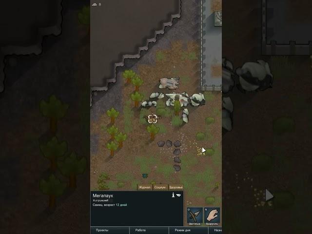 Приручение жука в Rimworld 1.5 Anomaly