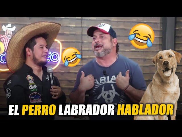 El perro labrador hablador | Hernán El Potro