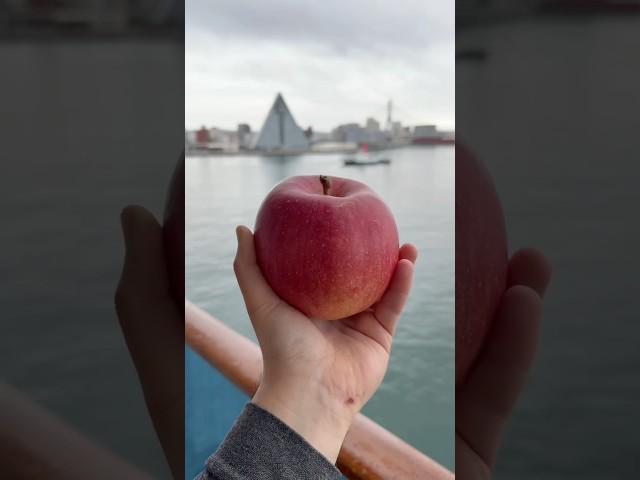 Even the apples are better in Japan