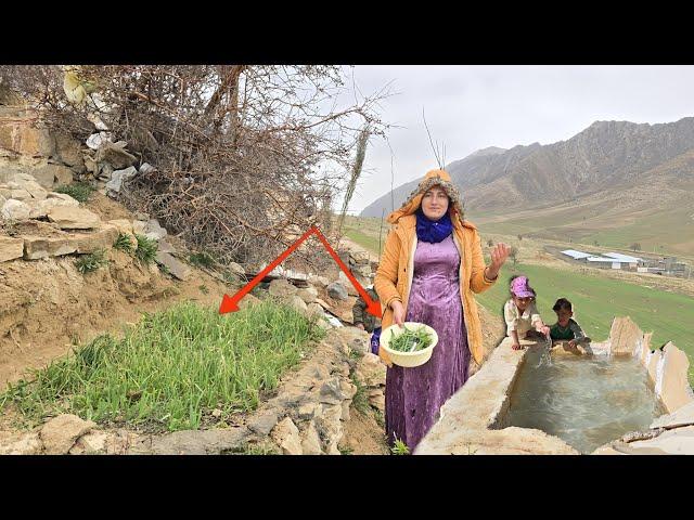 Reviving the Dead Garden: The Nomadic Lady's Sweet Project