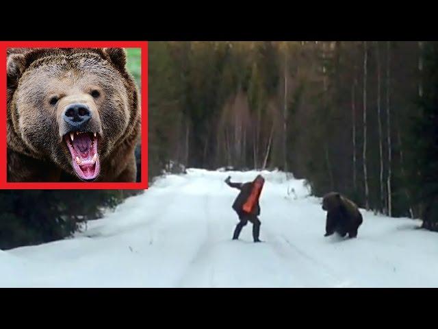 Отпугнуть медведя!!! Наглядное пособие по выживанию