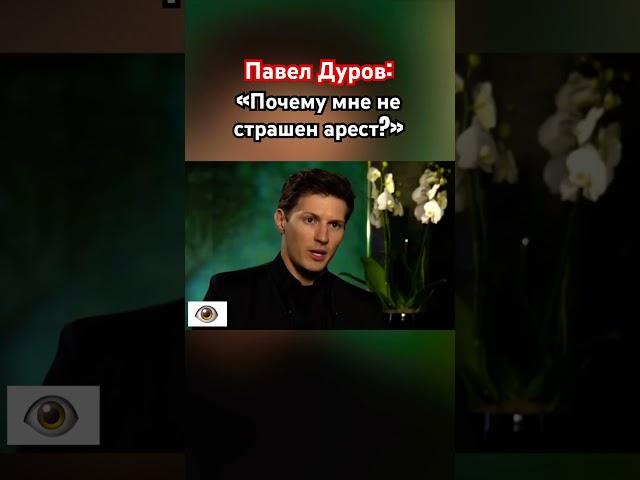 Павел Дуров: «Мне не страшен арест!» #озвучка #знаменитости #дуров #павелдуров