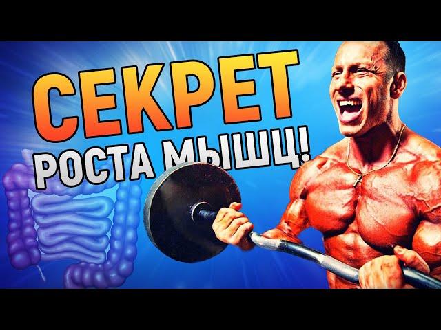 Секрет роста МЫШЦ — здоровый кишечник. И вот почему | DeeaFilm