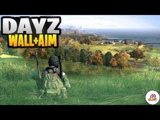 THE BEST CHEAT FOR DAYZ - LEGIT CHEATS