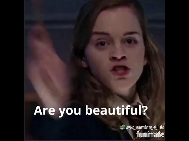 Are you... Hermione Granger!