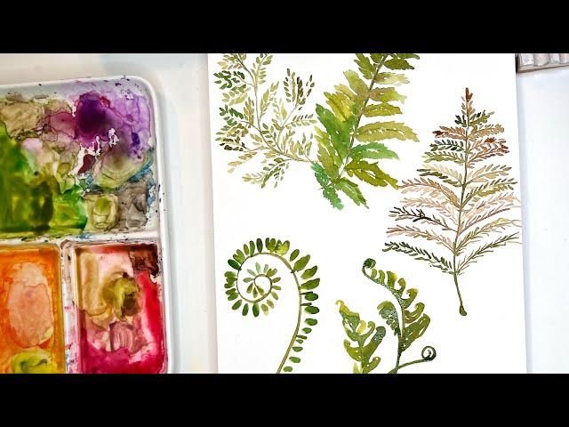 Watercolor ferns, fiddleheads and more ferns.  So fun for the beginner