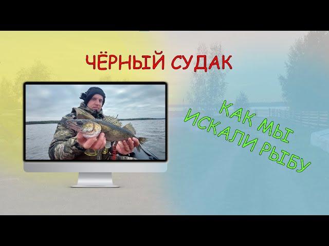 Чёрный судак и щука на мелководье! Рыбалка на озере Вселуг 2021. Рыбалка с Дивером