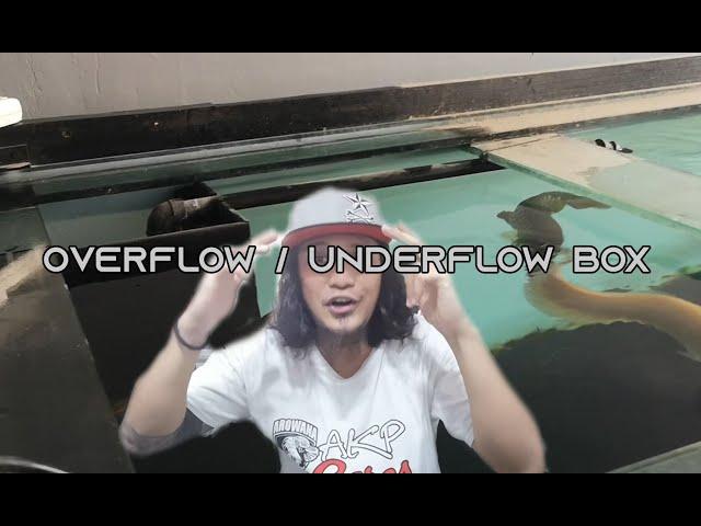 Underflow / Overflow box + 200 Gallons Sump - Detailed explanation