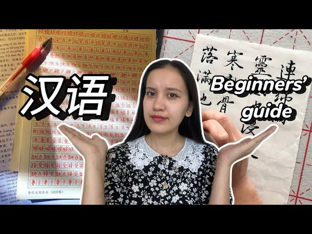 How to learn Chinese faster and easier | my own experience