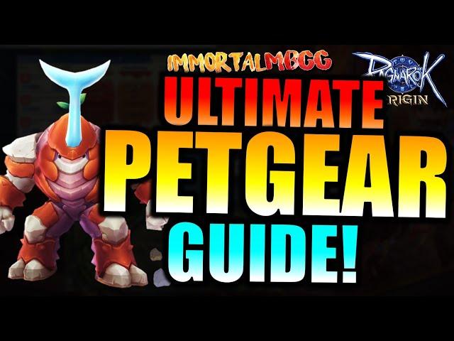 THE ULTIMATE PET GEAR GUIDE!! - RAGNAROK ORIGIN