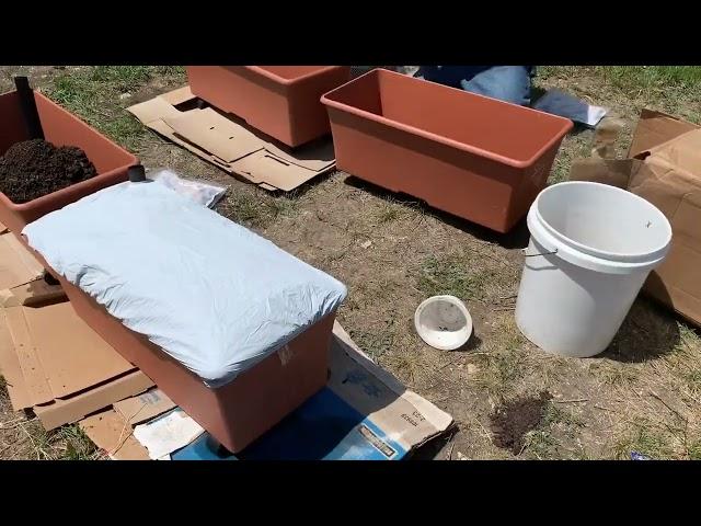 Earth box  container gardening