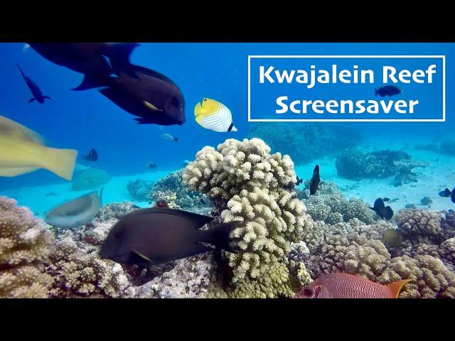 Kwaj Reef Screensaver 11