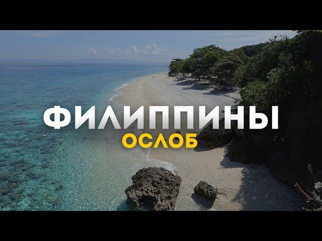 Ослоб, Филиппины. Акулы и водопады