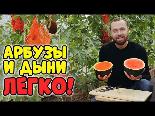 ДЫНИ И АРБУЗЫ - ЛЕГКО! СУПЕР СОРТА И СПОСОБ ВЫРАЩИВАНИЯ