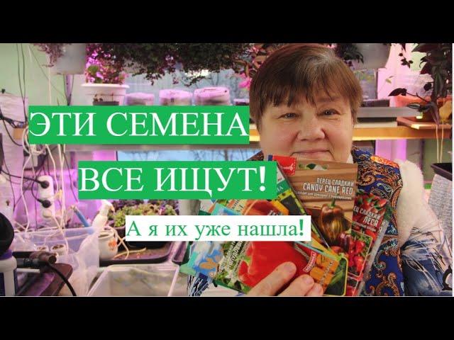 ЭТИ СЕМЕНА ИЩУТ ВСЕ! А Я ТЕПЕРЬ ЗНАЮ, ГДЕ ИХ МОЖНО НАЙТИ!