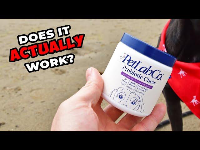 PetLab Co Review: Do Probiotics For Dogs Really Help Yeast?