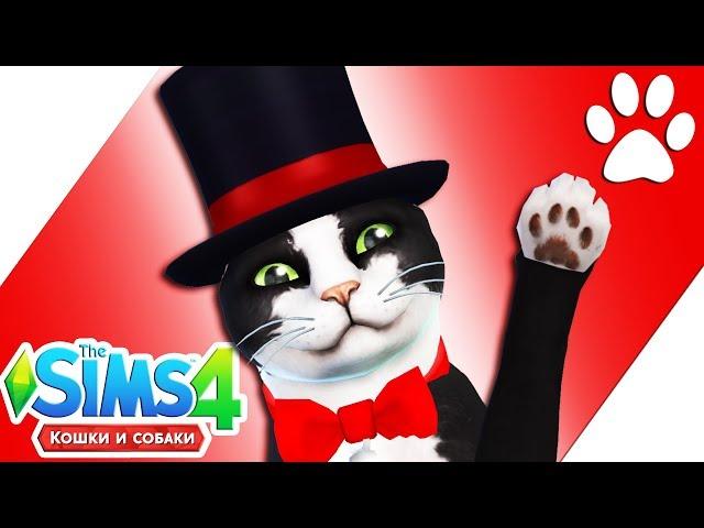 THE SIMS 4 КОШКИ И СОБАКИ | РЕЖИМ СОЗДАНИЯ ПИТОМЦА + CAS