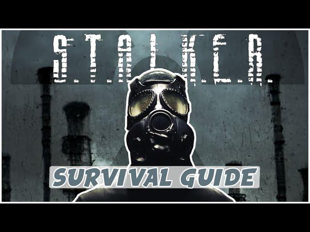 So you want to play Ironman? A STALKER Anomaly Survival guide