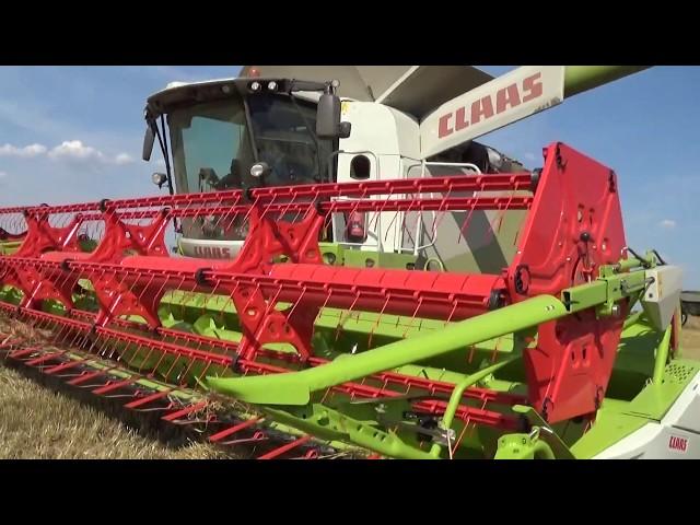 Уборка ячменя новым комбайном Claas Lexion 770