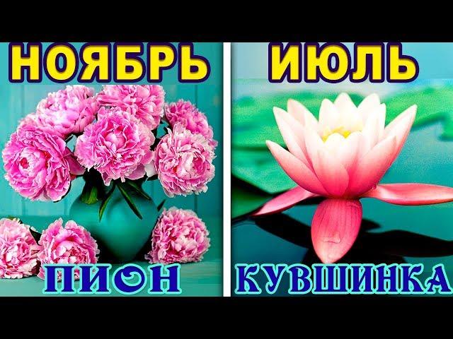 КАКОЙ ТЫ ЦВЕТОК ПО ДАТЕ РОЖДЕНИЯ. Цветочный Гороскоп. Какой ты Цветок по Знаку Зодиака